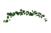 Picture of ARTIFICIAL PLANT Sweet Potato Vines 02 (2M Long)