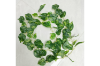 Picture of ARTIFICIAL PLANT Sweet Potato Vines 02 (2M Long)