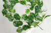 Picture of ARTIFICIAL PLANT Sweet Potato Vines 02 (2M Long)