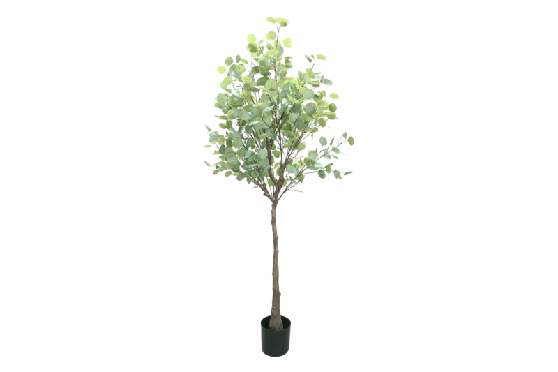 Picture of ARTIFICIAL PLANT EUCALYPTUS TREE (H180)