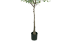 Picture of ARTIFICIAL PLANT EUCALYPTUS TREE (H180)