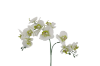 Picture of ARTIFICIAL PLANT White Orchid with Golden Vase (H55cm)