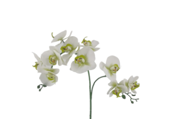 Picture of ARTIFICIAL PLANT White Orchid with Golden Vase (H55cm)