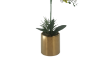 Picture of ARTIFICIAL PLANT WHITE ORCHID WITH GOLDEN VASE (H55CM)