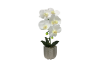 Picture of ARTIFICIAL PLANT White Orchid with Silver Vase (H45cm)