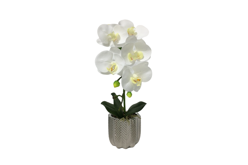 Picture of ARTIFICIAL PLANT WHITE ORCHID WITH SILVER VASE (H45CM)