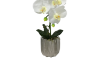 Picture of ARTIFICIAL PLANT WHITE ORCHID WITH SILVER VASE (H45CM)