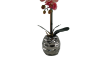 Picture of ARTIFICIAL PLANT RED ORCHID WITH ROUND SILVER VASE (H45CM)