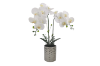 Picture of ARTIFICIAL PLANT White Orchid with Silver Vase (H45cm)