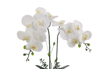 Picture of ARTIFICIAL PLANT White Orchid with Silver Vase (H45cm)