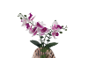 Picture of ARTIFICIAL PLANT PINK-WHITE ORCHID WITH SEASHELL VASE (H44CM)