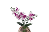 Picture of ARTIFICIAL PLANT Pink-White Orchid with Seashell Vase (H44cm)