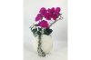 Picture of ARTIFICIAL PLANT Pink Orchid with White Vase (H55cm)