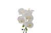 Picture of ARTIFICIAL PLANT WHITE ORCHID WITH GREEN VASE (H45CM)