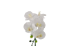 Picture of ARTIFICIAL PLANT White Orchid with Green Vase (H45cm)