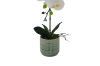 Picture of ARTIFICIAL PLANT WHITE ORCHID WITH GREEN VASE (H45CM)