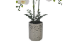 Picture of ARTIFICIAL PLANT White Orchid with White Vase (H17")