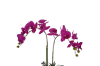 Picture of ARTIFICIAL PLANT Pink Orchid with Silver Vase (H55cm)