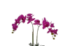 Picture of ARTIFICIAL PLANT PINK ORCHID WITH SILVER VASE (H55CM)