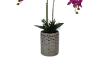 Picture of ARTIFICIAL PLANT PINK ORCHID WITH SILVER VASE (H55CM)