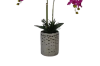 Picture of ARTIFICIAL PLANT Pink Orchid with Silver Vase (H55cm)