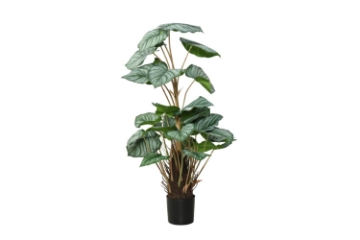 Picture of ARTIFICIAL PLANT Philodendron with Black Pot (H90)