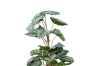 Picture of ARTIFICIAL PLANT PHILODENDRON WITH BLACK POT (H90)