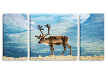 Picture of ELK AT JUTONHEIMEN NATIONAL PARK NORWAY - Frameless Canvas Print Wall Art (200CMX70CM) (3 Panels)