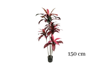 Picture of CORDYLINE TERMINALIS Artificial Plant - 59"