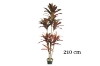 Picture of CORDYLINE TERMINALIS Artificial Plant (59"/82.5")