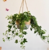 Picture of GREY DRIP Natural Jute Rope Hanging Planter Basket