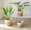 Picture of JUTE Rope Flowerpot/ Plant Basket/ Storage Basket Assorted Sizes