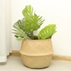 Picture of SEAGRASS Belly Basket/ Floor Planter/ Storage Belly Basket in Natural Color Assorted Sizes