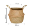 Picture of SEAGRASS Belly Basket/ Floor Planter/ Storage Belly Basket in Natural Color Assorted Sizes