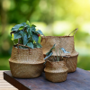 Picture of Seagrass Belly Basket/ Floor Planter/ Storage Belly Basket in Natural Color Small Size