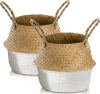 Picture of Seagrass Belly Basket/ Floor Planter/ Storage Belly Basket in White & Natural Two Tone Color Assorted Sizes