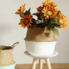 Picture of Seagrass Belly Basket/ Floor Planter/ Storage Belly Basket in White & Natural Two Tone Color Assorted Sizes
