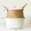 Picture of Seagrass Belly Basket/ Floor Planter/ Storage Belly Basket in White & Natural Two Tone Color Assorted Sizes