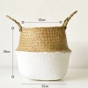 Picture of SEAGRASS Belly Basket/ Floor Planter/ Storage Belly Basket in White & Natural Two Tone Color Assorted Sizes