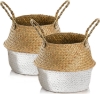 Picture of Seagrass Belly Basket/ Floor Planter/ Storage Belly Basket in White & Natural Two Tone Color Small Size