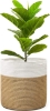 Picture of Jute Rope Plant Basket/ Storage Organizer *White & Natural Medium Size