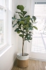 Picture of Jute Rope Plant Basket/ Storage Organizer *White & Natural 