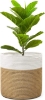 Picture of Jute Rope Plant Basket/ Storage Organizer *White & Natural 