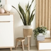 Picture of Jute Rope Plant Basket/ Storage Organizer *White & Natural 