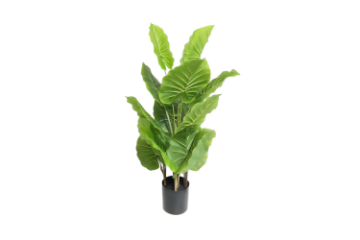 Picture of ARTIFICIAL PLANT Water Arum