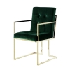 Picture of EVAN Button Tufted Velvet Chair with Arms (Hunter Green/Gold)