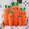 Picture of CARROT Pillow Plush Toy Sleeping Pinch