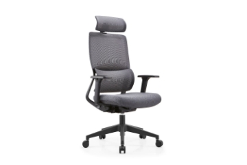 Picture of KARIYA Ergonomic Office Chair