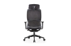 Picture of KARIYA Ergonomic Office Chair