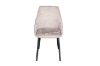 Picture of ASTRAL Dining Chair (Beige) - Single